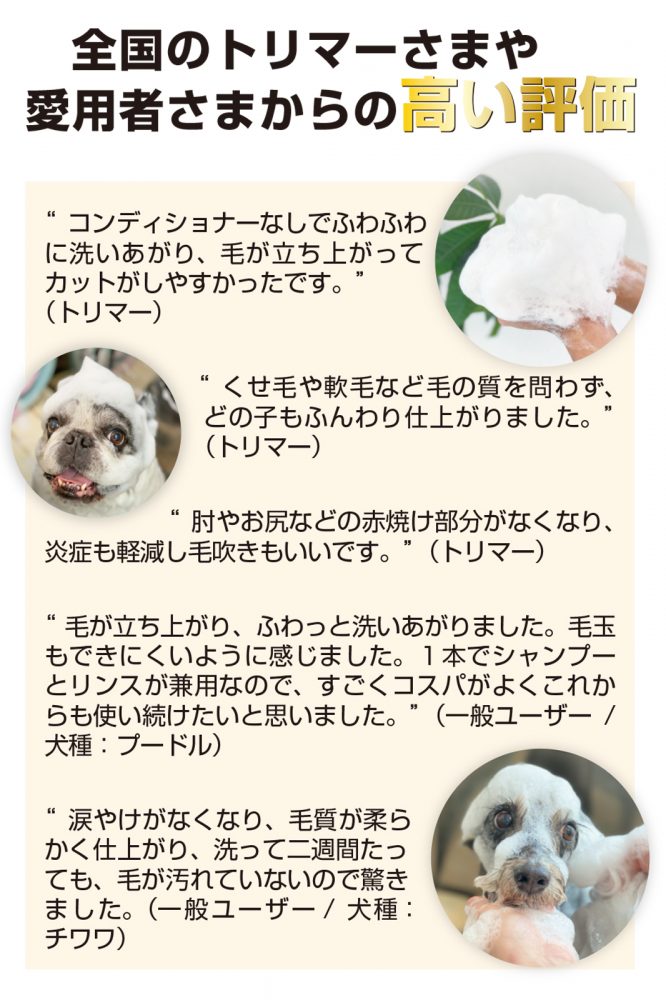 洗ってうるおう プレミアム アミノ酸シャンプー 3 8l Wanpoo 洗ってうるおう プレミアム アミノ酸シャンプー 3 8l Wanpoo