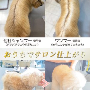 犬 アミノ酸 販売 シャンプー